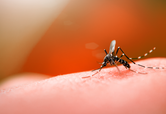 Secretaria da Saúde atualiza dados de Dengue em Taguaí